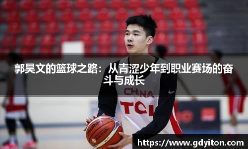 hb火博体育赛事